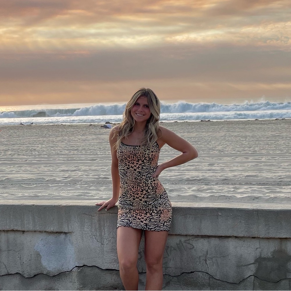 Princess Polly mini dress